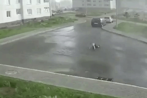 Con gio manh thoi bay nguoi di duong o Belarus hinh anh