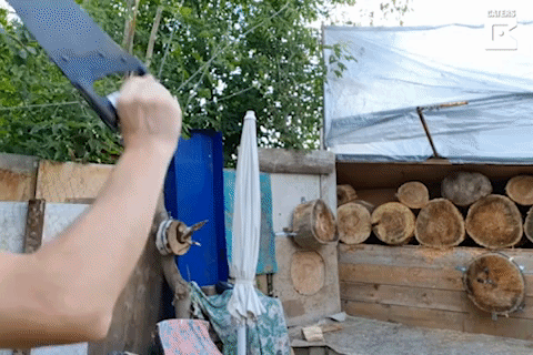 Nguoi dan ong o Nga noi tieng voi tai phi do vat vao go hinh anh