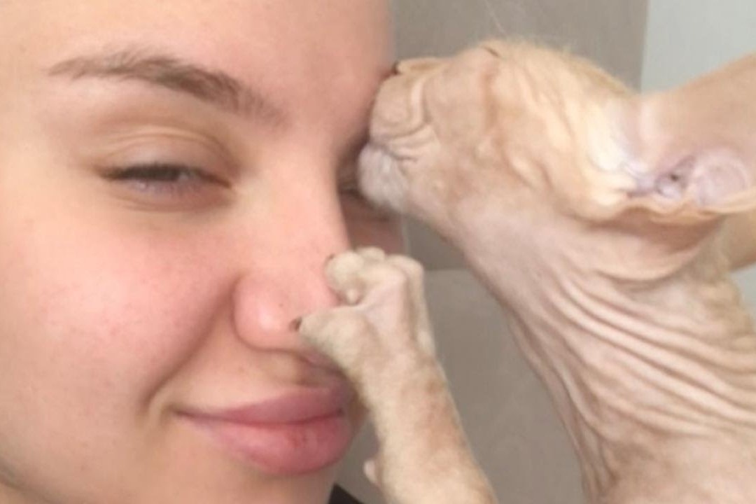 Chu meo cung thich liem long may cua co chu hinh anh