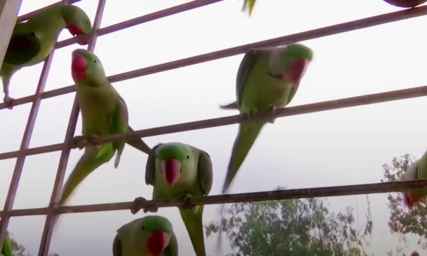 Nguoi phu nu duoc hang chuc con vet den tham moi ngay hinh anh