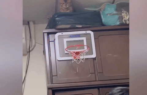 Meo choi bong ro cung cau chu hinh anh