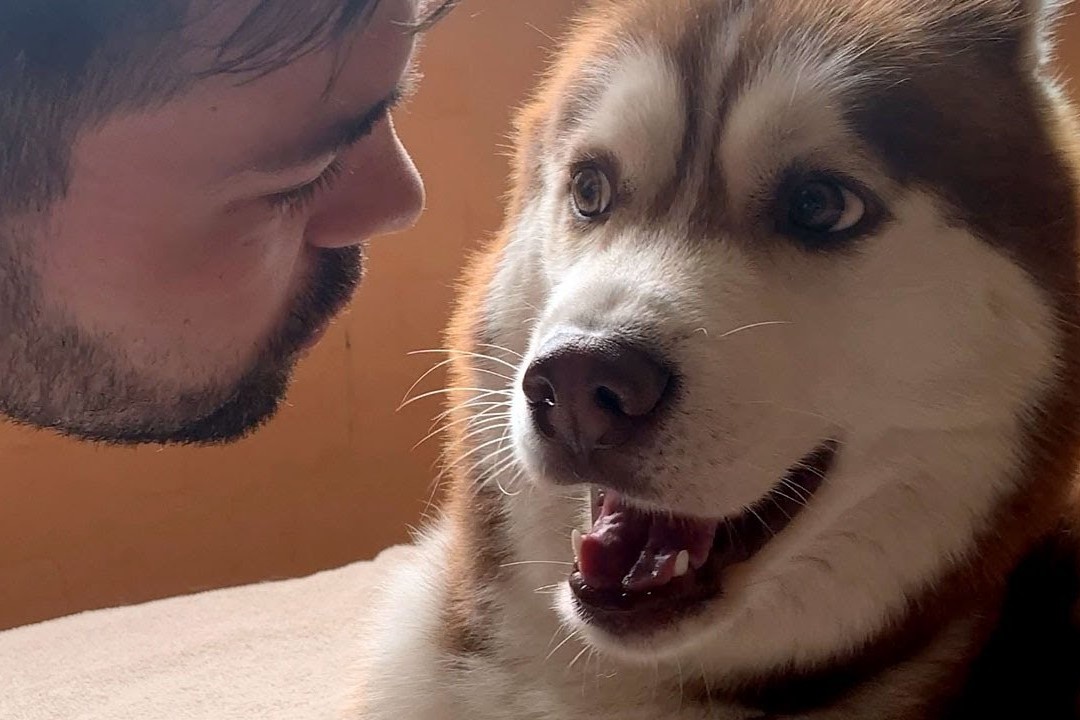 Chu cho bo di khi bi ban trai cua co chu hon hinh anh