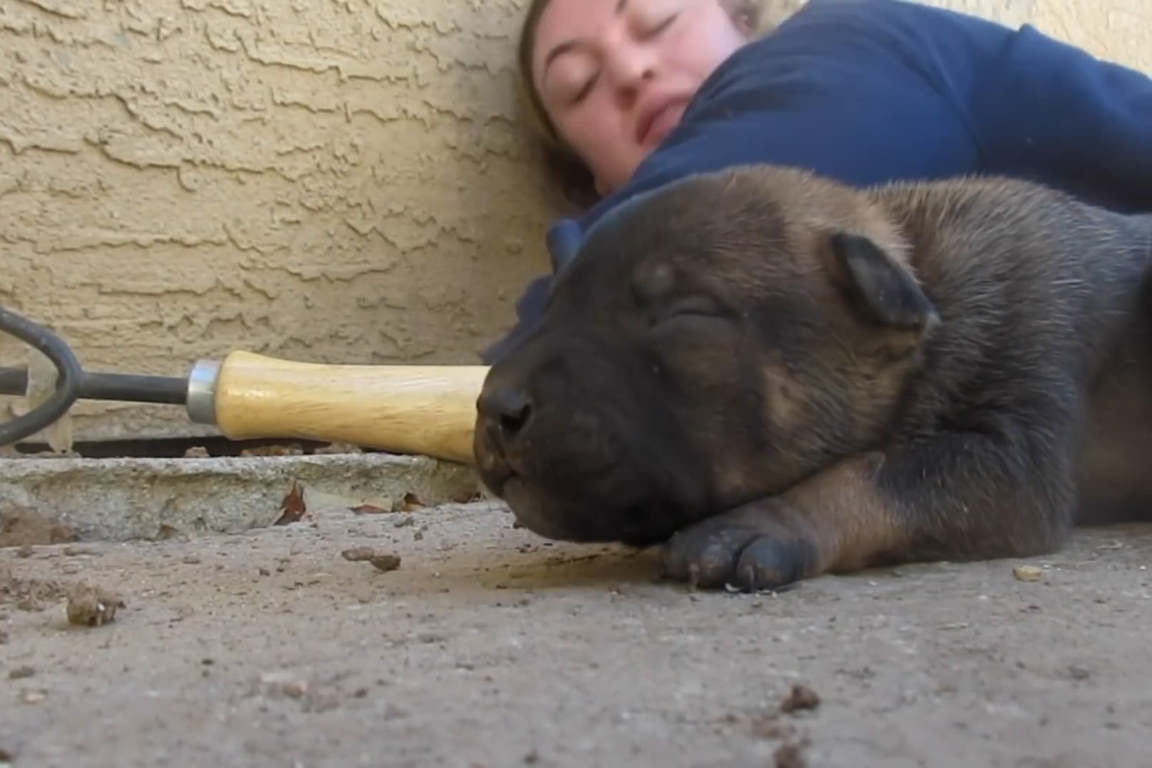 Cho me goi nguoi den giai cuu dan con moi sinh hinh anh