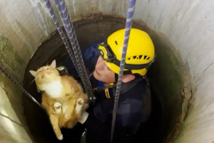 Giai cuu chu meo mac ket duoi gieng nuoc sau 15 m hinh anh