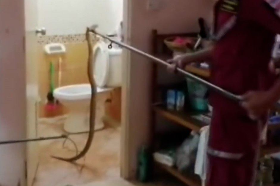 Be gai 11 tuoi phat hien ran ho mang trong phong tam o Thai Lan hinh anh