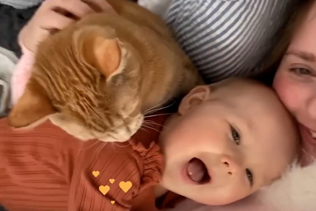 Be gai va meo con lon len ben nhau hinh anh