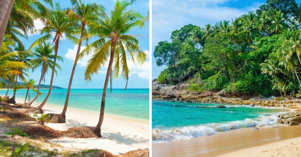 Chon Phuket hay Koh Samui khi toi Thai Lan hinh anh