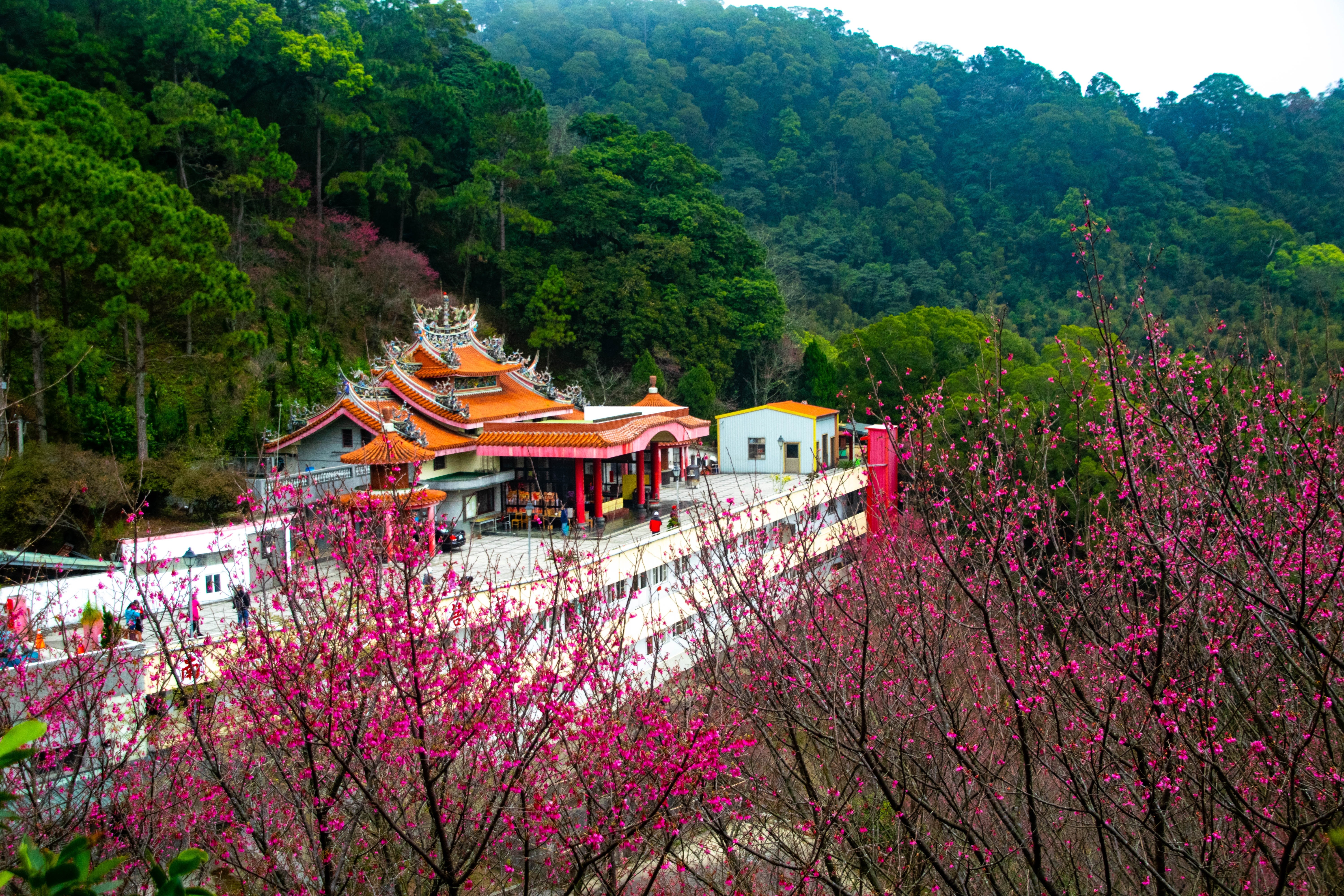 xin visa tự túc ảnh 1 xin visa tu tuc anh 1