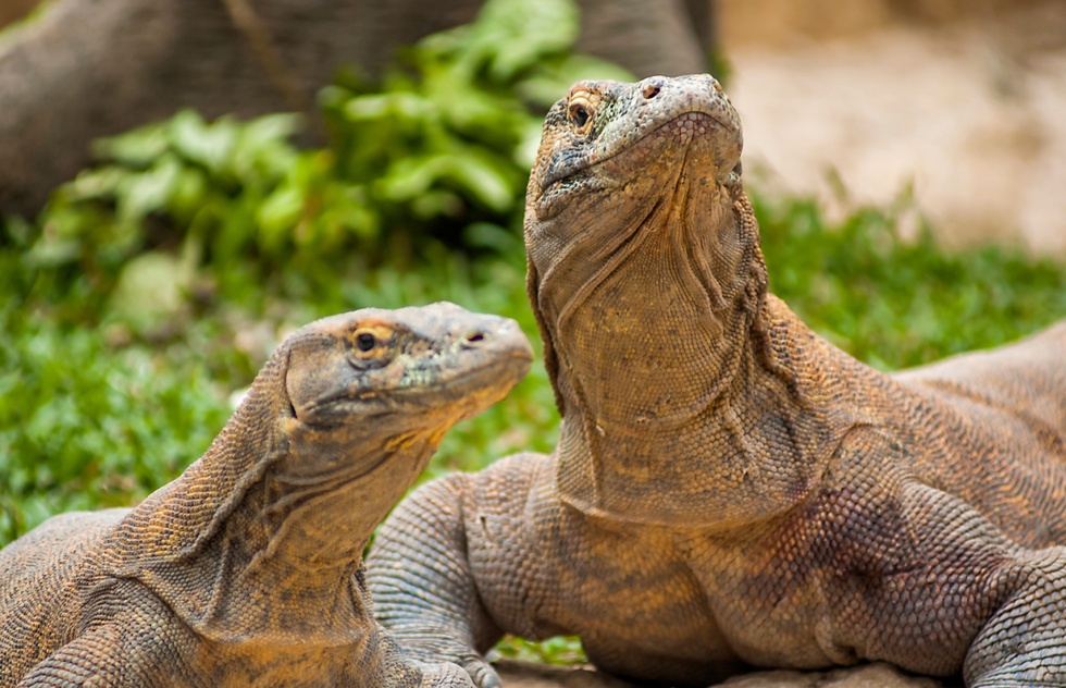 du lich duong thuy anh 3