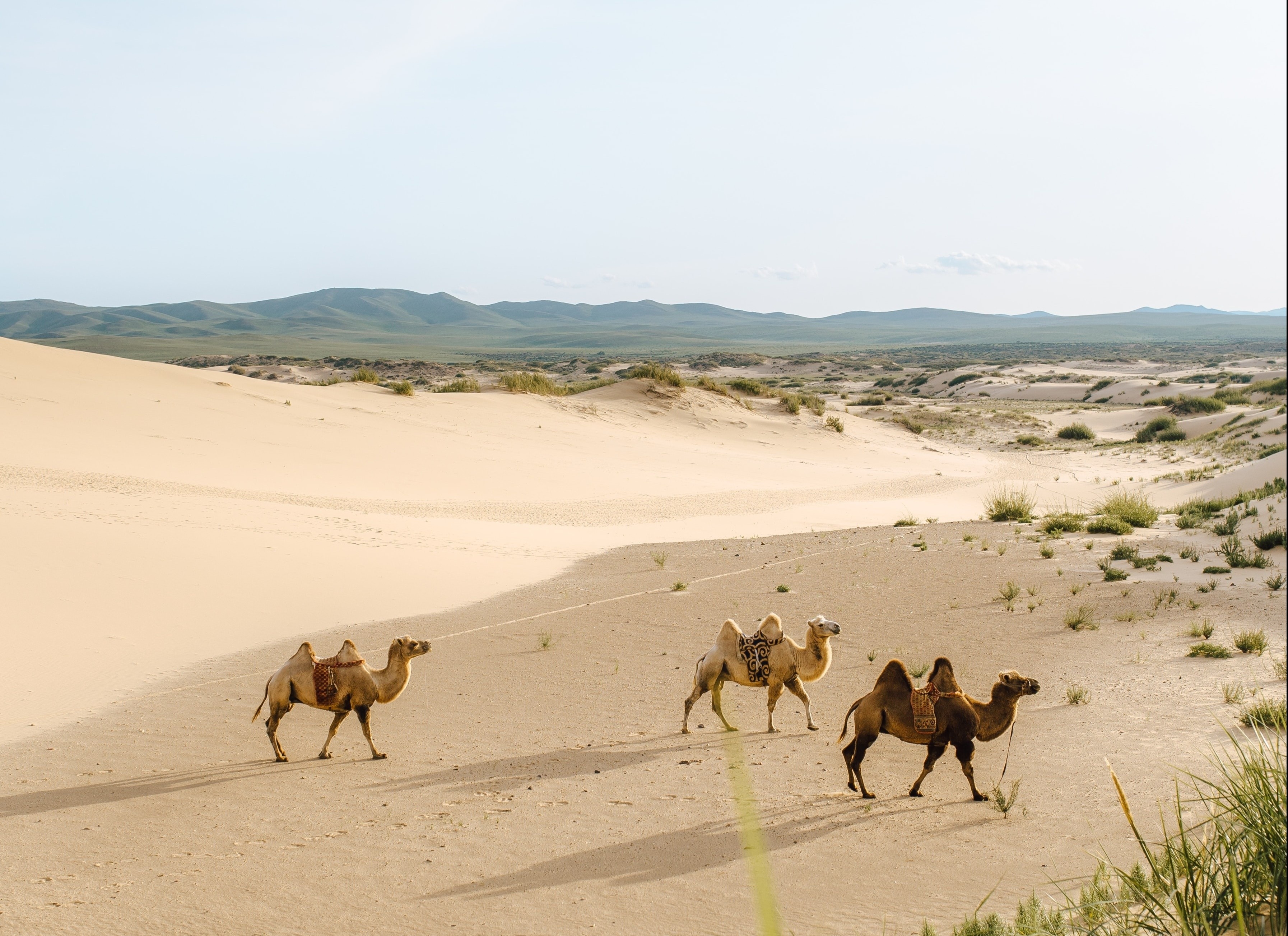 du lich Mong Co anh 2