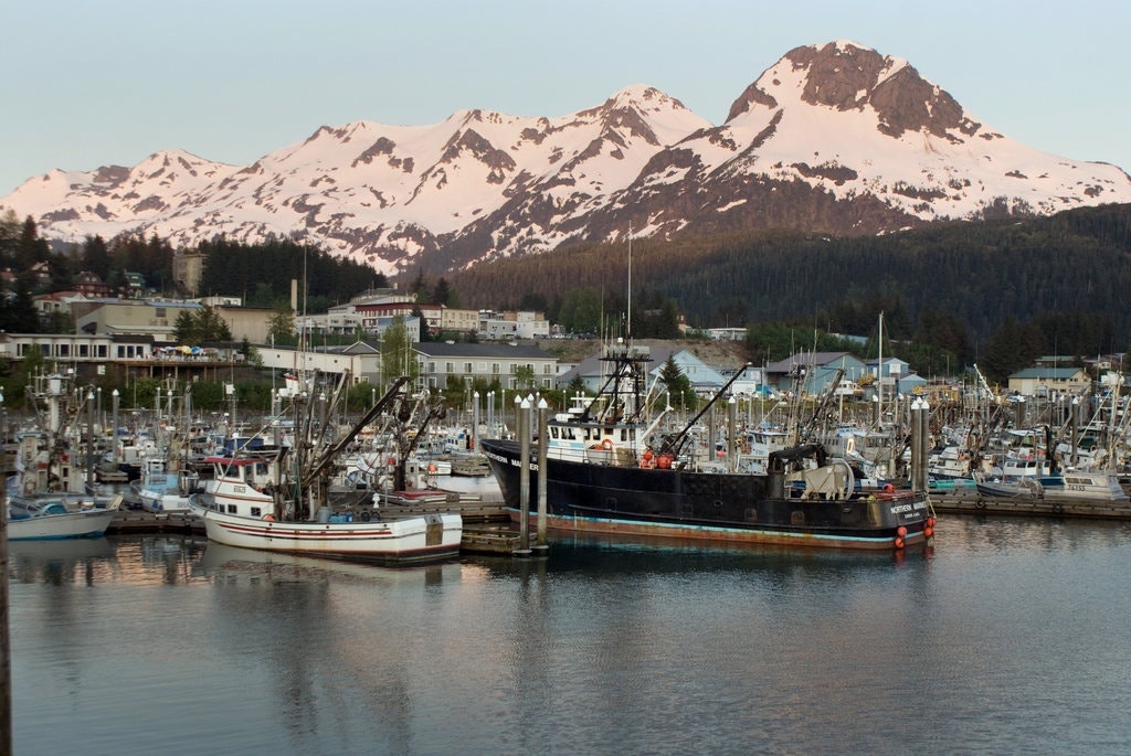 Noi an toan nhat o My chong dich ‘kieu chau A’ de don mua cau hinh anh