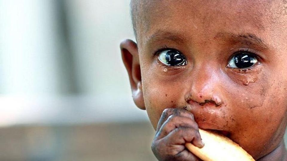 LHQ canh bao the gioi doi mat tham hoa luong thuc toi te nhat 50 nam hinh anh