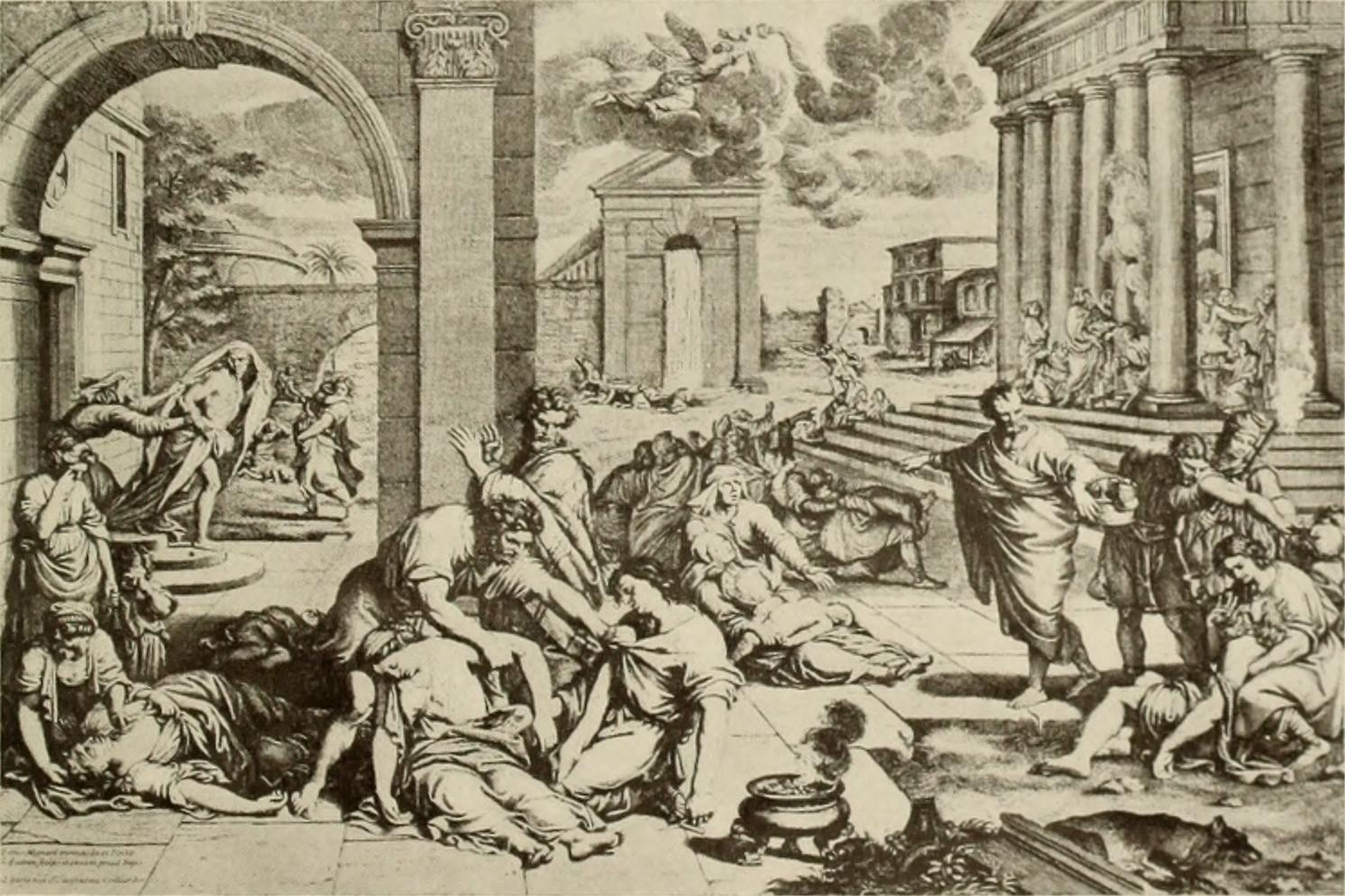 Nga san ban soc marmot anh 2