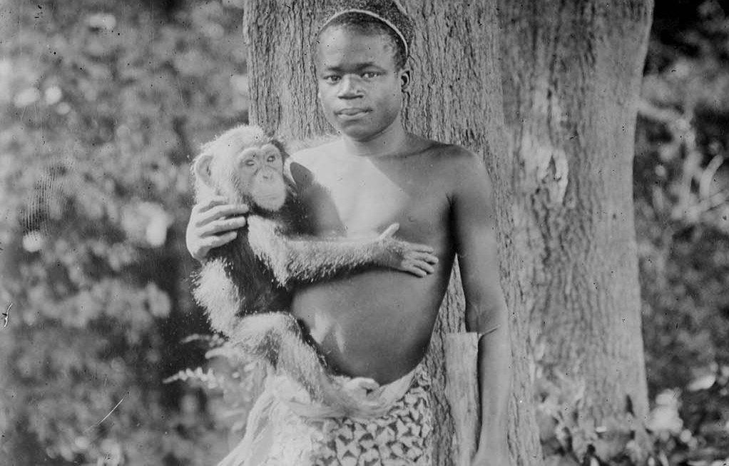 So thu xin loi vi trung bay nguoi da mau trong nha long cua khi hinh anh