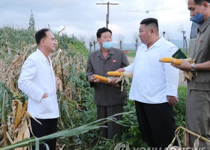 Ong Kim den tham khu vuc vua bi bao tan pha hinh anh