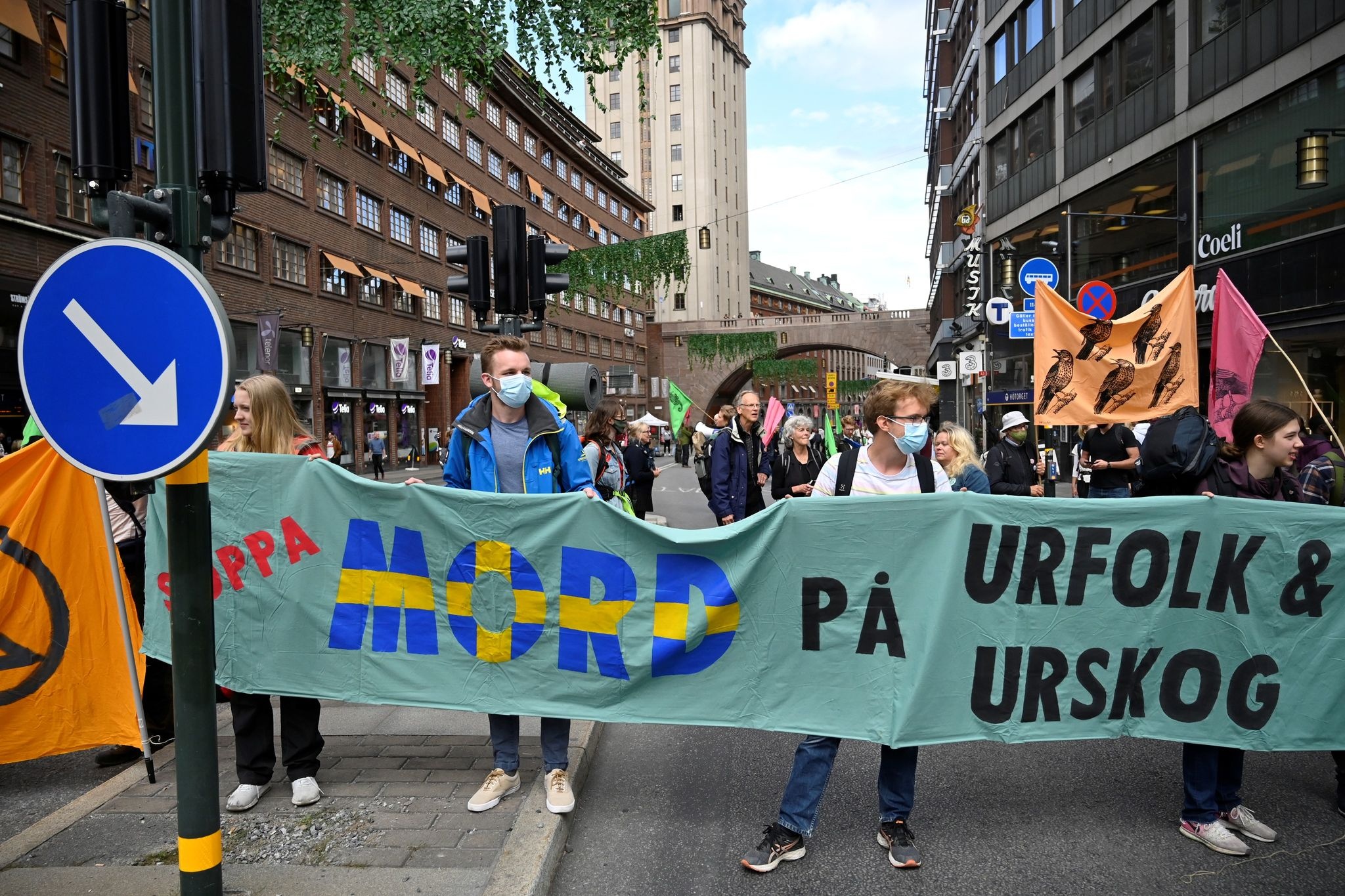 bieu tinh chong bien doi khi hau anh 3