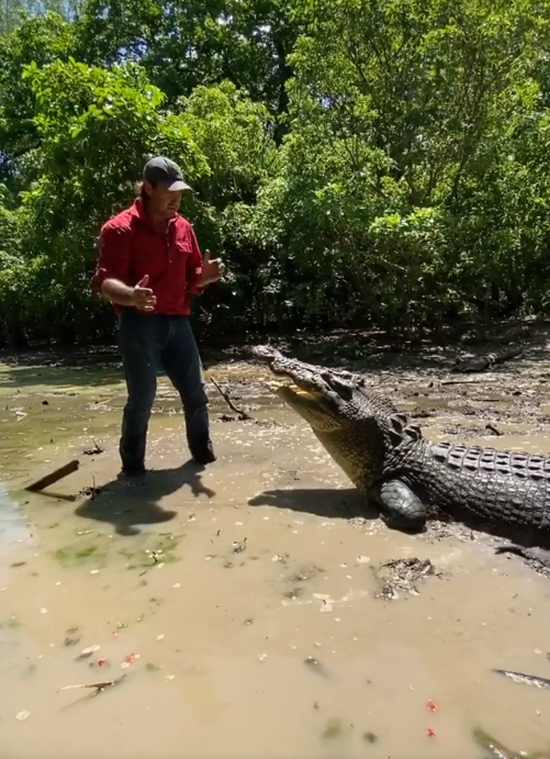 Nguoi dan ong Australia huan luyen ca sau nhu thu cung anh 2