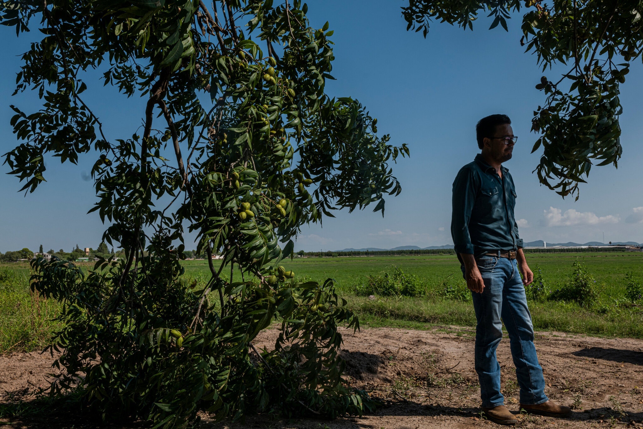 Cuoc chien xuyen bien gioi vi nguon nuoc sach o Mexico anh 4