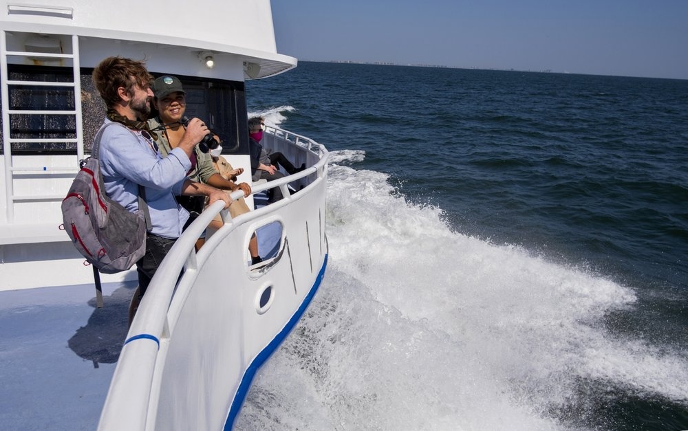 Ca voi lung gu do xo den New York de kiem an anh 3