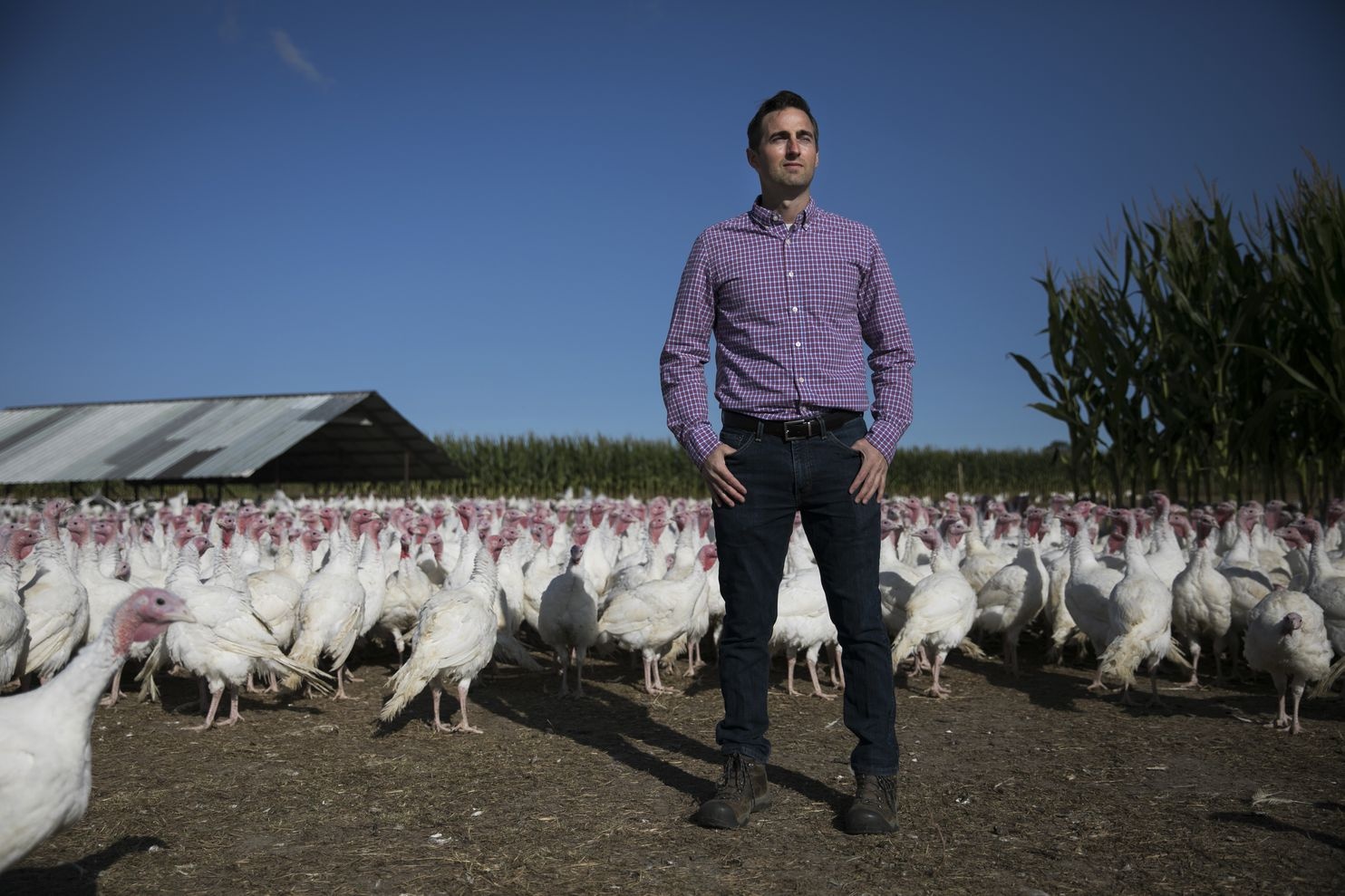 muc tieu thu ga tay se sut giam manh anh 5