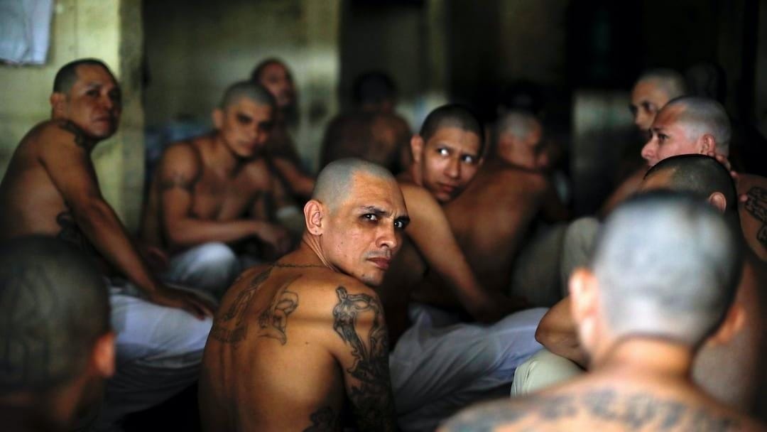 El Salvador bat giu hon 600 thanh vien bang dang anh 8