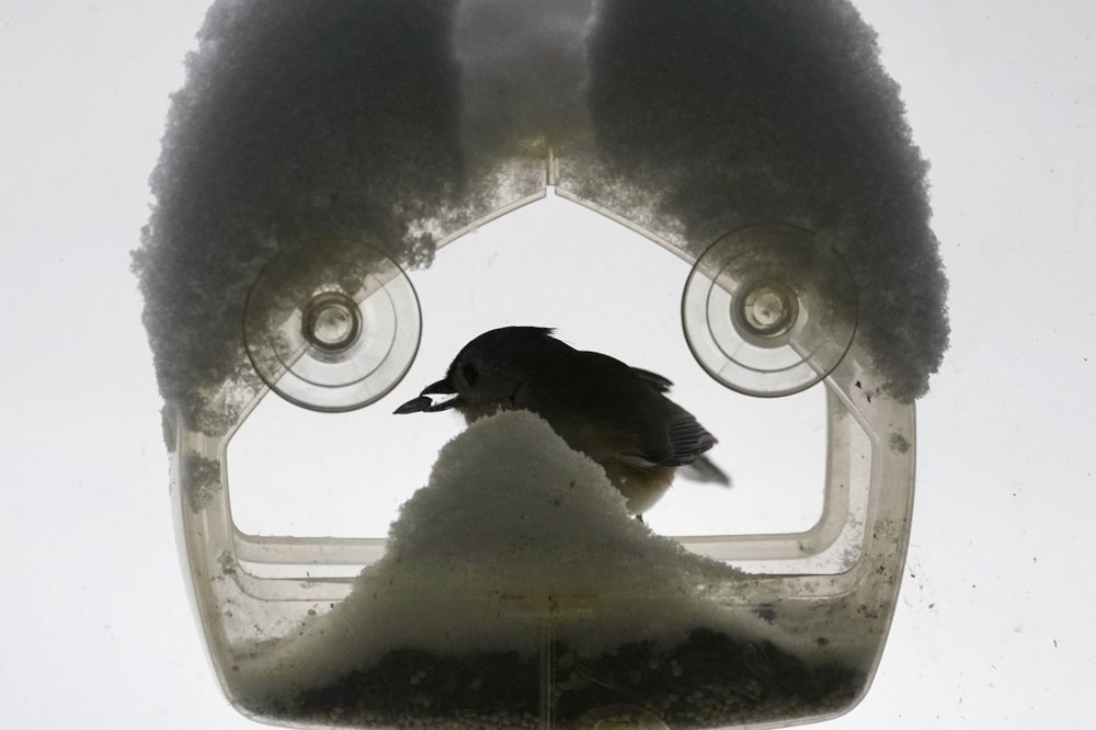 New York bi nhan chim trong con bao tuyet ‘kho tin’ anh 7