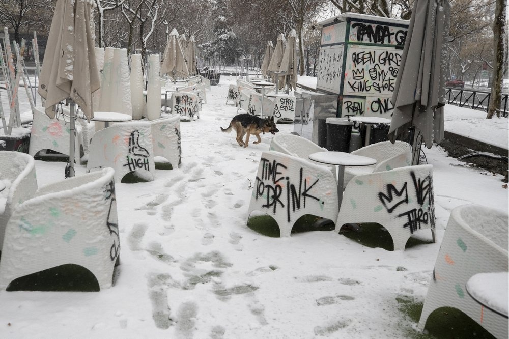 Bao tuyet chua tung co o Tay Ban Nha anh 4