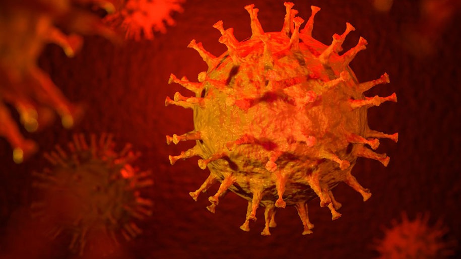 Bien chung cua virus SARS-CoV-2 da lan den 70 noi hinh anh