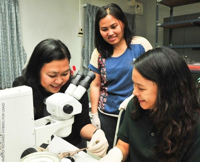 Viet Nam nhan 3 khoan tai tro nghien cuu khoa hoc cua My hinh anh