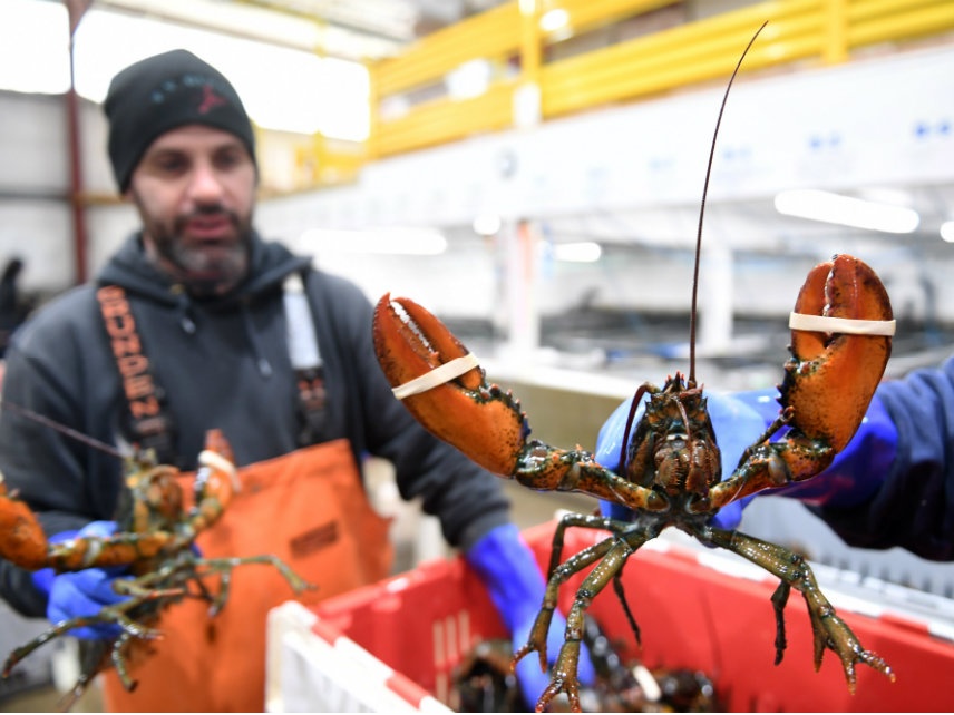 Dai dich ngan tom hum My den Trung Quoc trong dip Tet Nguyen dan hinh anh