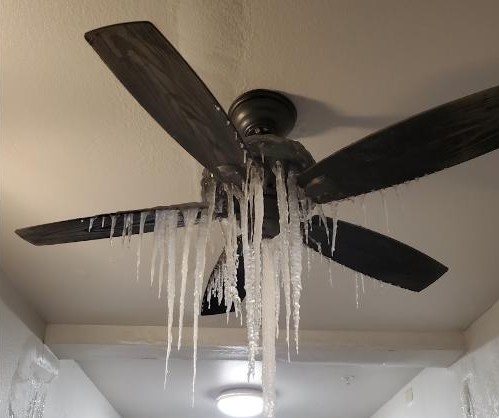 Texas mat dien anh 4