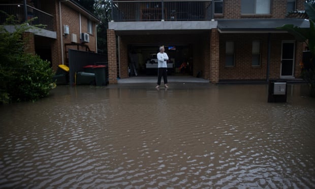 lu lut tai New South Wales anh 8