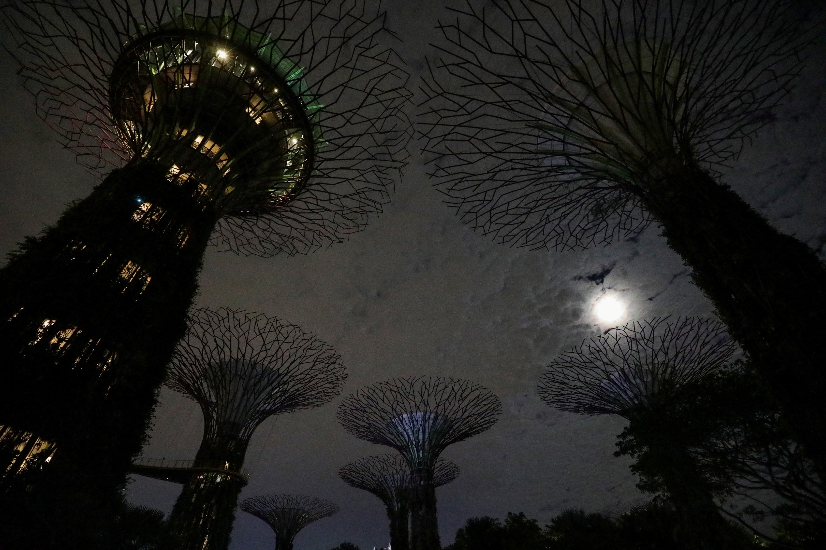 Nhieu noi tren the gioi tat dien huong ung Gio Trai Dat hinh anh