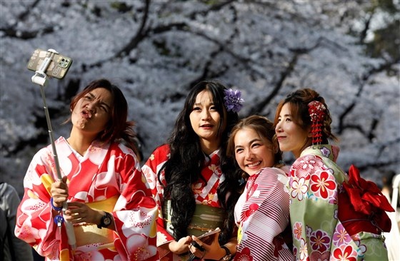 Dieu dang so an sau mua hoa anh dao den som tai Nhat Ban hinh anh