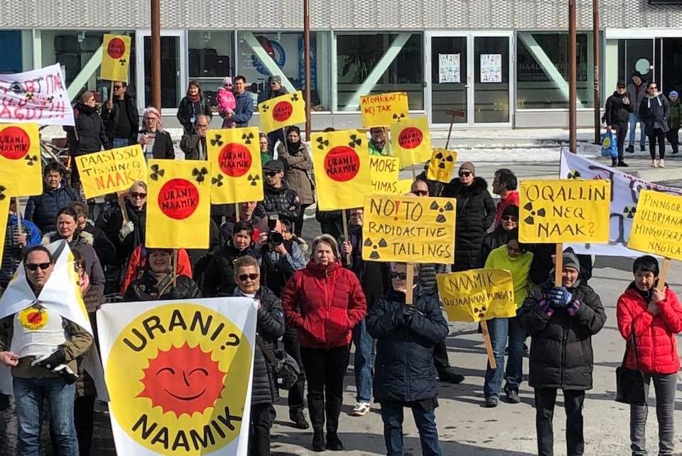 bau cu Greenland anh 2