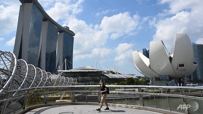 Singapore buoc vao cuoc chien moi chong 'vo tran' hinh anh