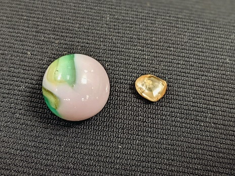 Nhat duoc vien kim cuong 2,2 carat trong cong vien hinh anh