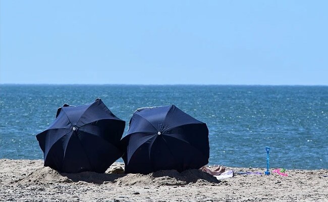 Hai nguoi tam nang vua bi huou duoi, vua bi phat tien o Australia hinh anh