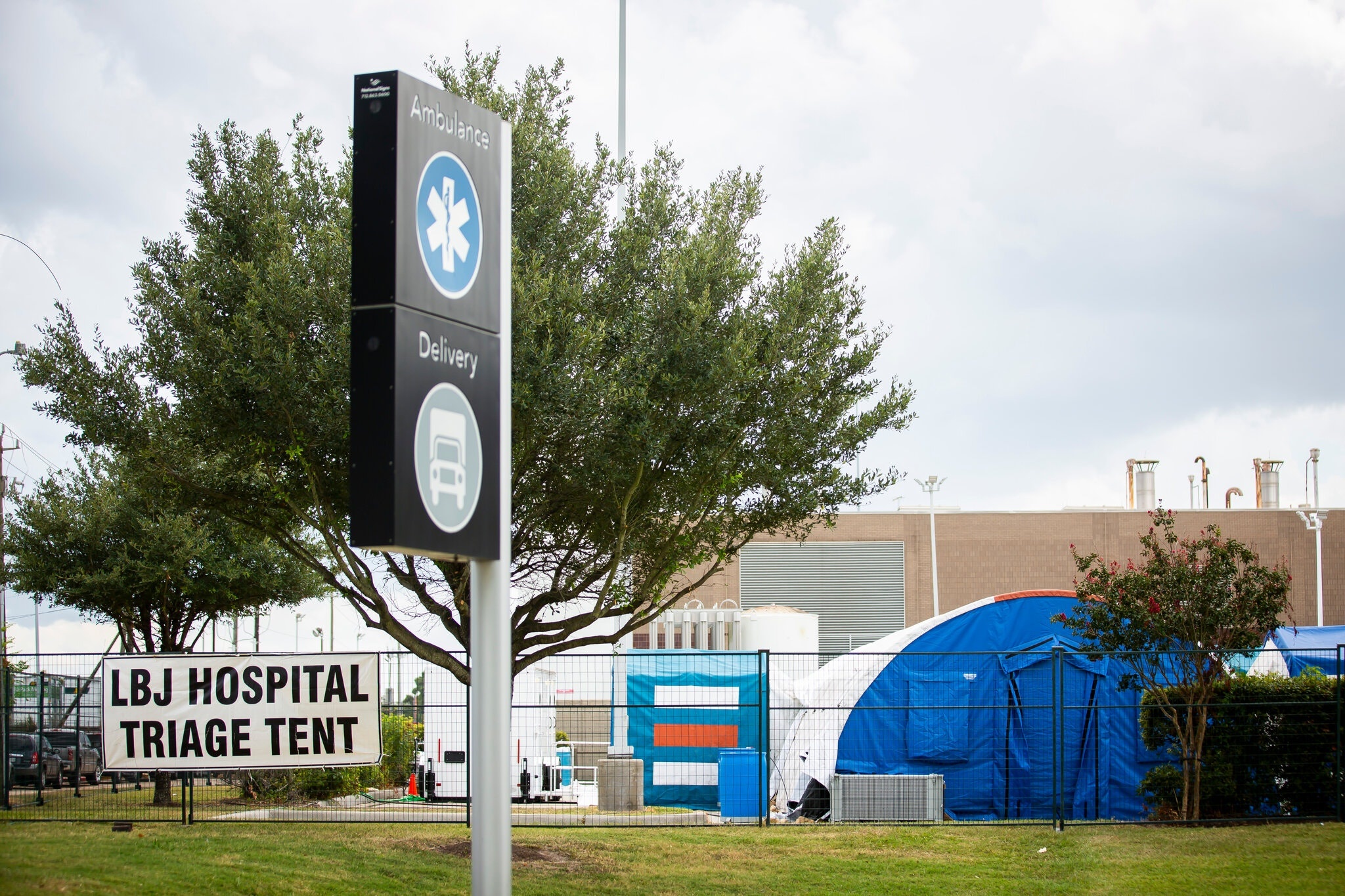 diem yeu cua Texas truoc dai dich anh 1