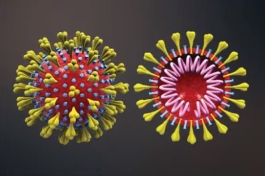 Hong Kong phat hien ca mac bien chung B.1.1.529 dau tien hinh anh