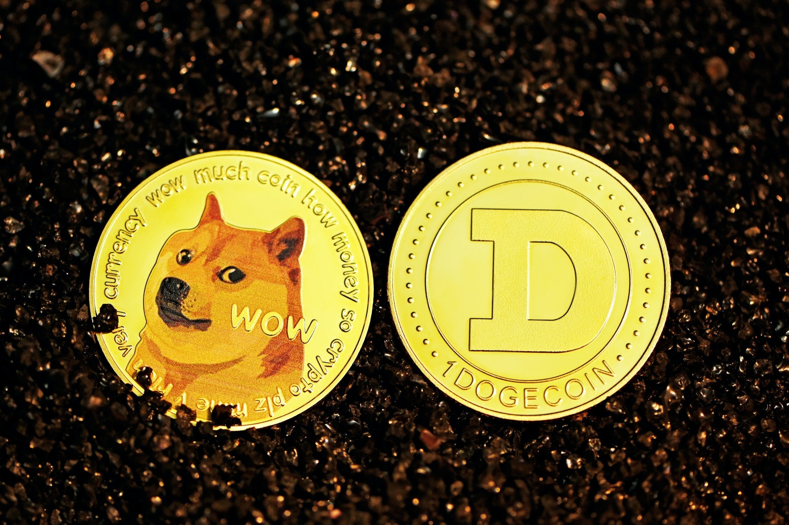 Dogecoin nen thay doi hinh anh