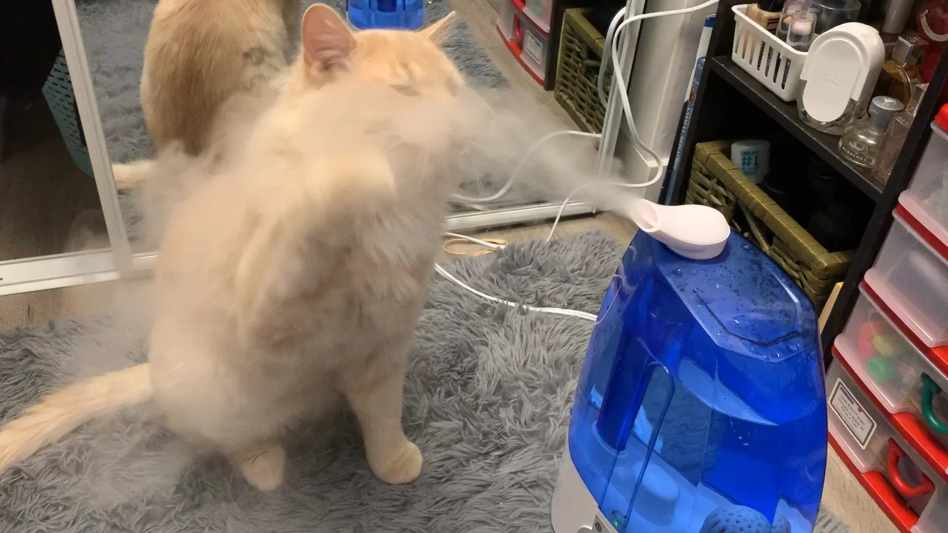 Dung dat may tao do am sai vi tri hinh anh