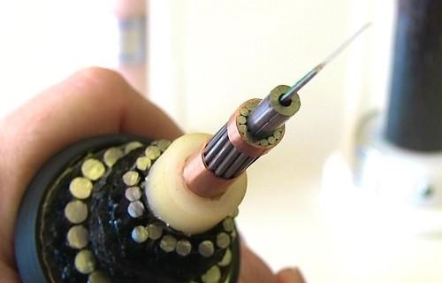 Tu dem nay ket noi mang duoc khoi phuc hinh anh