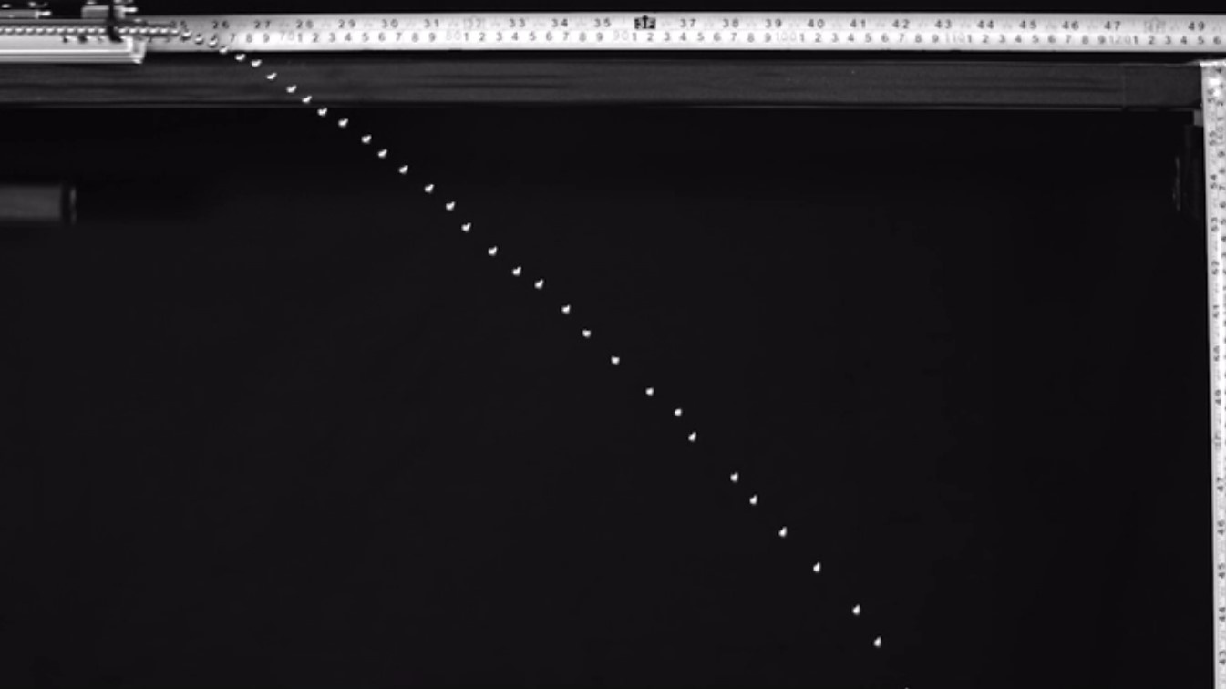 leonardo da vinci anh 3