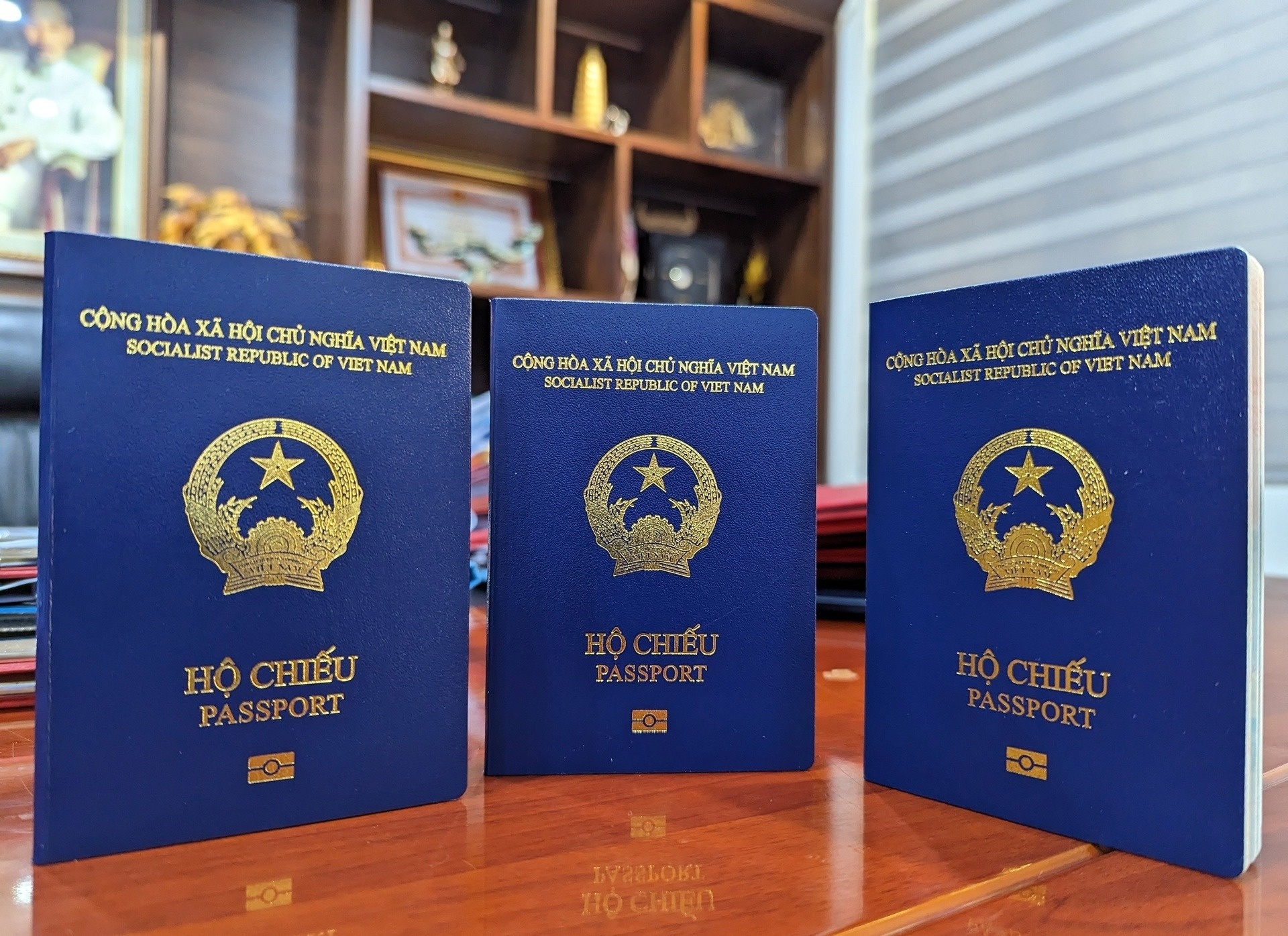 Co can mua vi dac biet de bao ve ho chieu gan chip? hinh anh