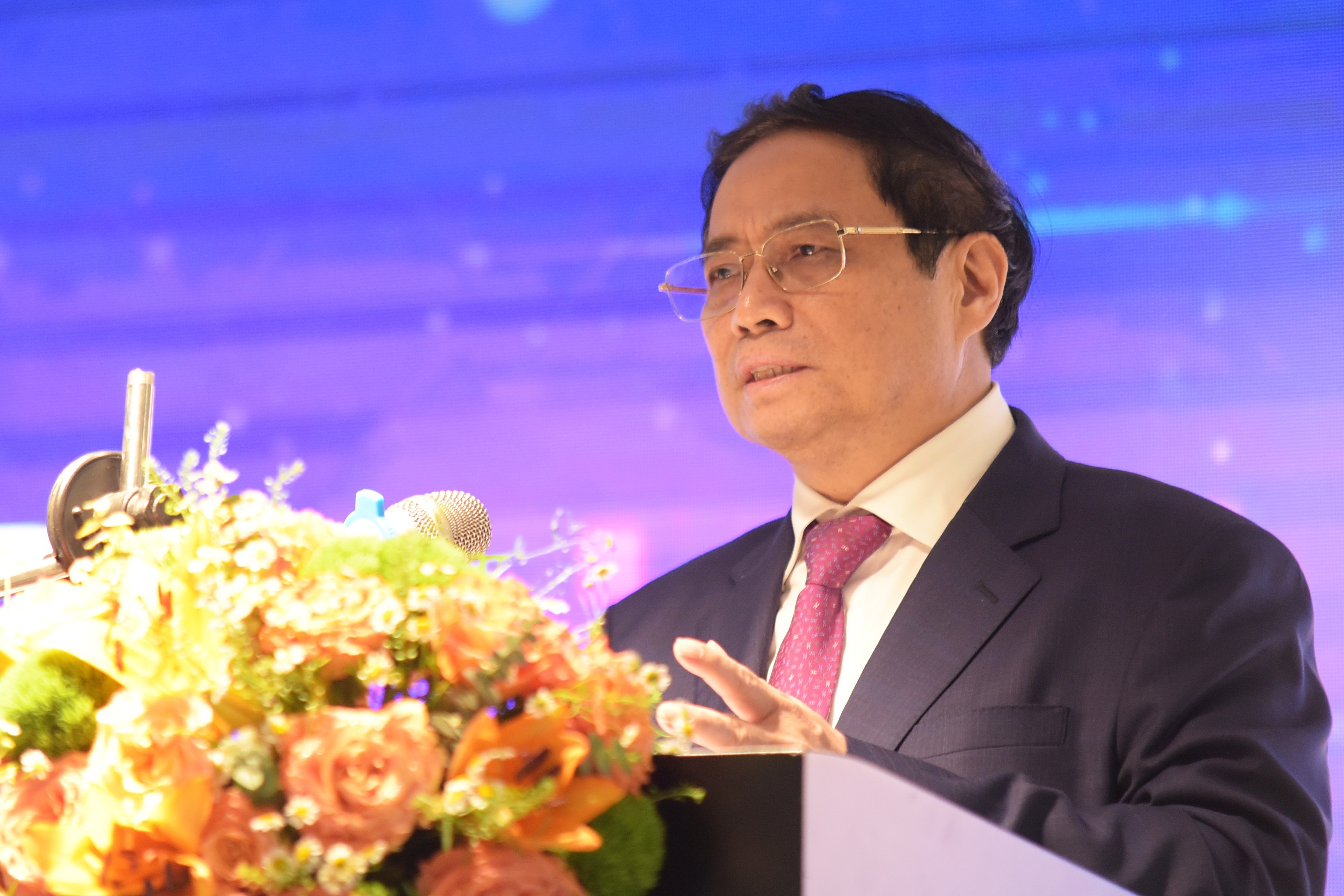 Viet Nam se som co trung tam ket noi nguon luc ho tro nganh ban dan hinh anh