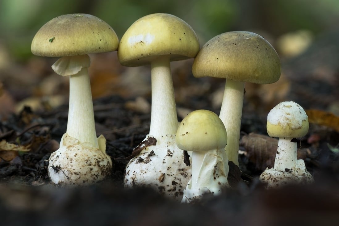 Nam tu than doc nhat the gioi giet nguoi nhu the nao hinh anh