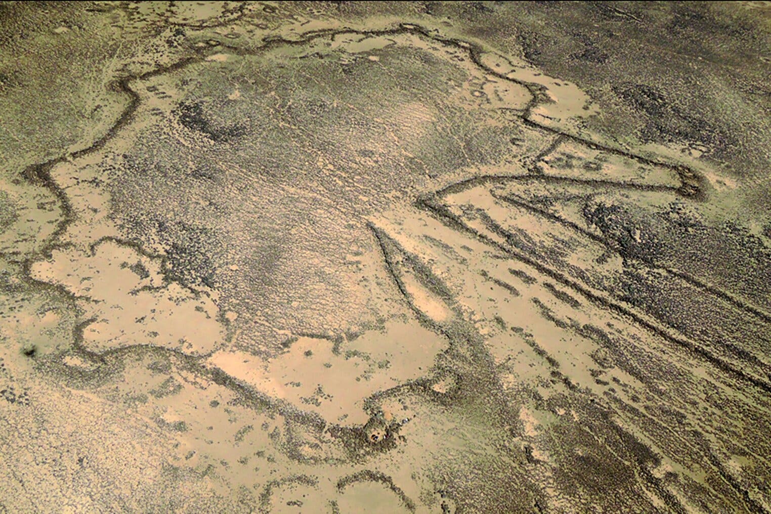 He lo cach xay dung nhung 'canh dieu' khong lo trong sa mac hinh anh