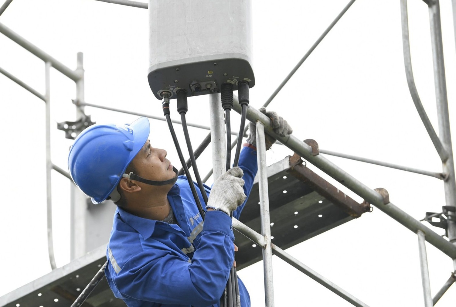 thue bao ve que anh 2