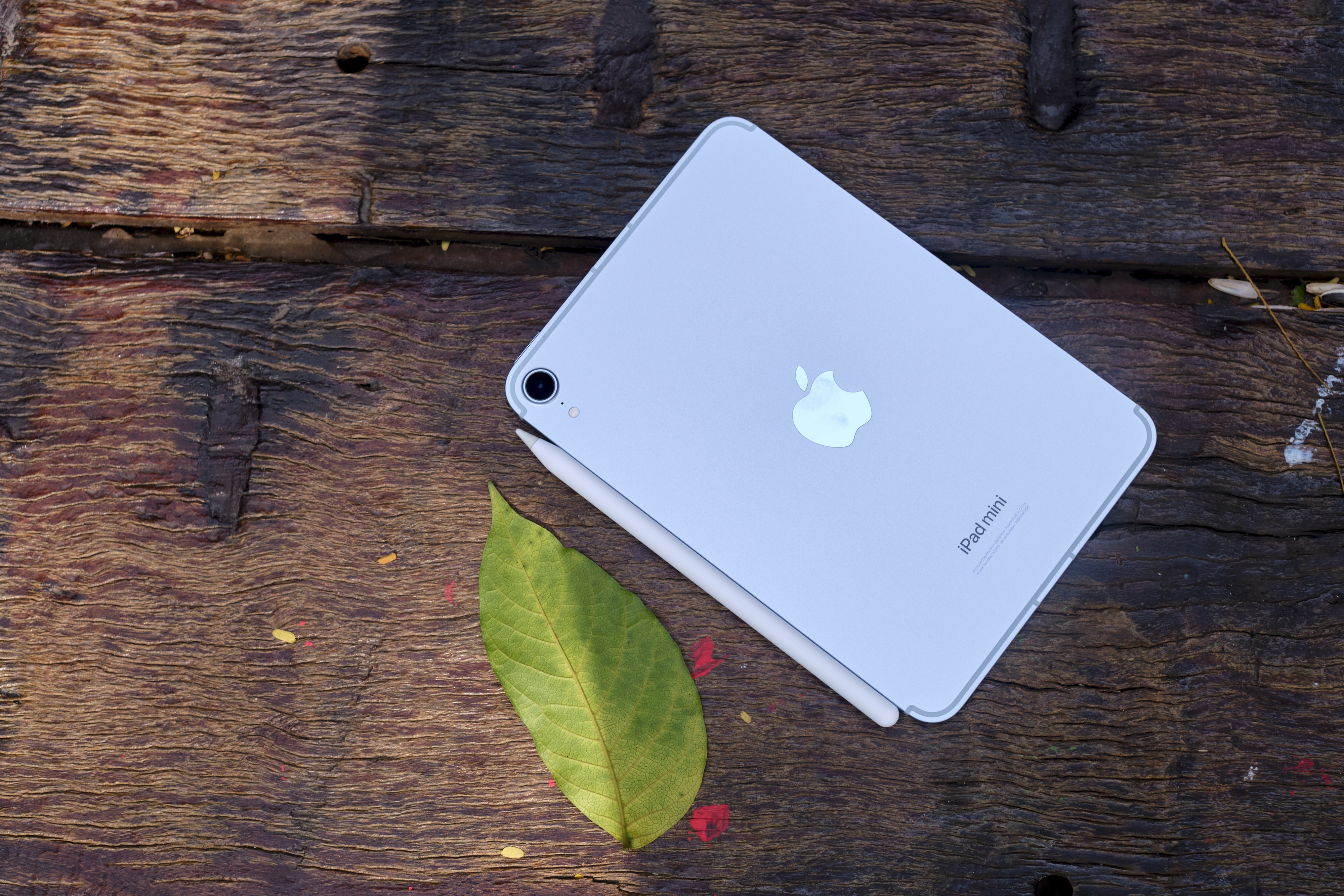 Chiec iPad ‘thuc dung’ nhat cua Apple hinh anh